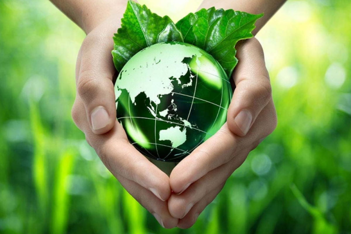 Международная экологическая безопасность. Экология. Экология картинки. Охрана окружающей среды. Зеленая Планета.